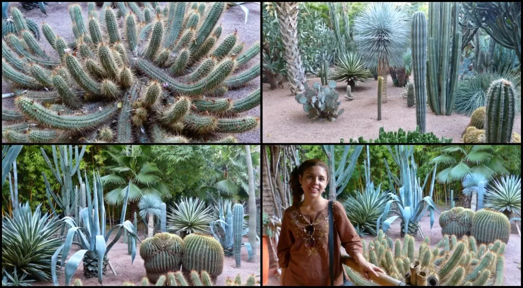 Jardines Majorelle Marrakech - Marruecos