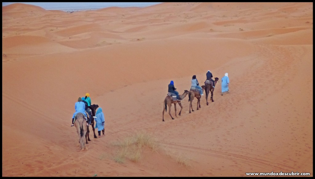 Desierto de Marruecos