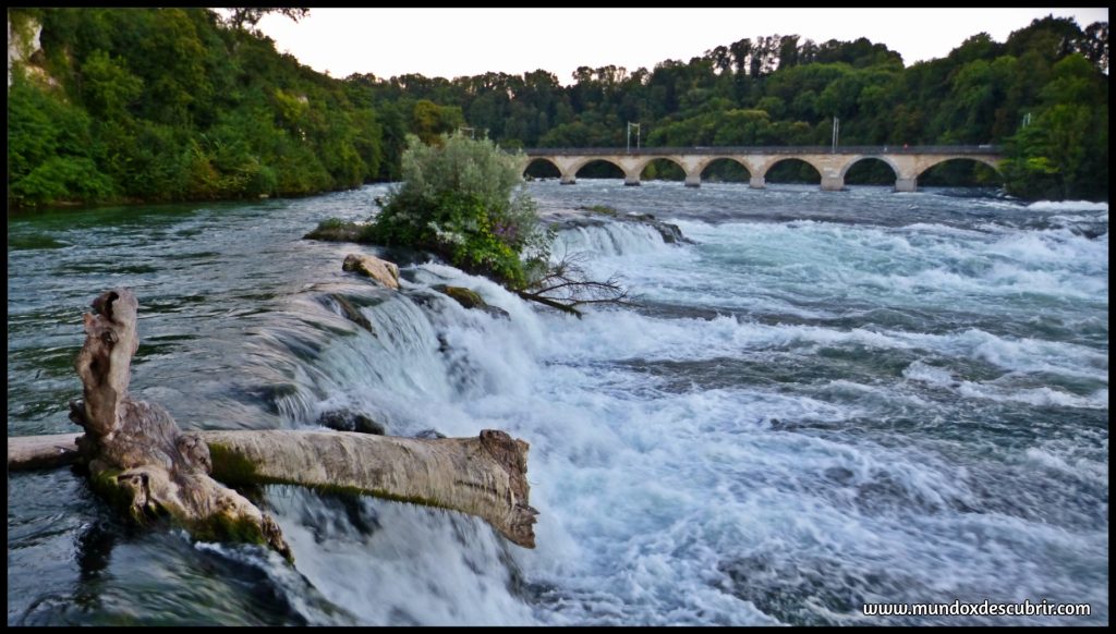 Las Cataratas del Rin - Suiza