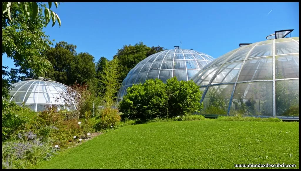 Jardín Botánico Zurich