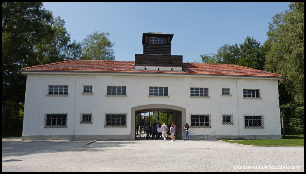 Dachau Amlemania