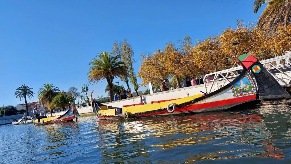 moliceiro Aveiro Portugal